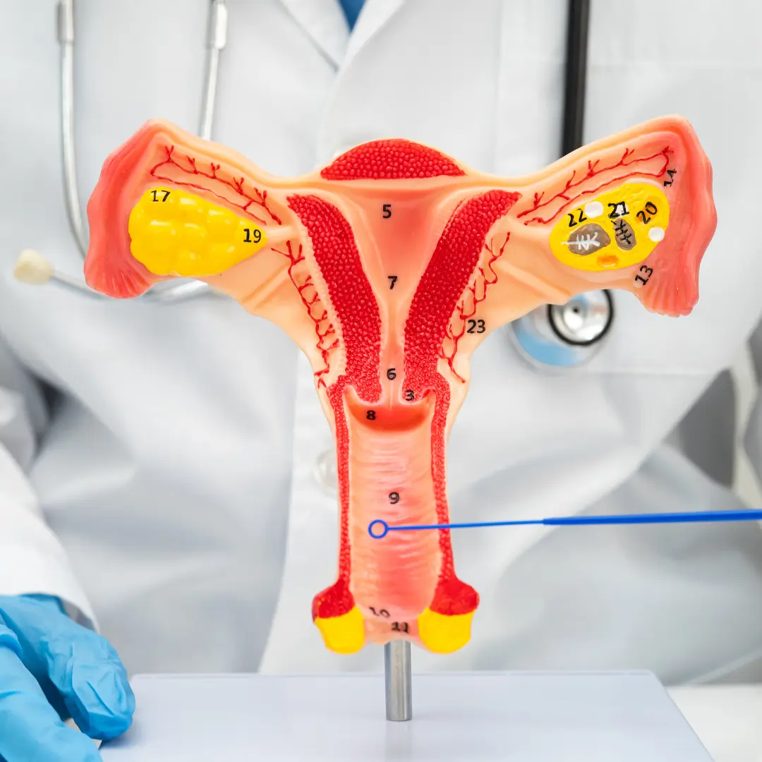 Kendin İçin Genital Bakımın Önemi