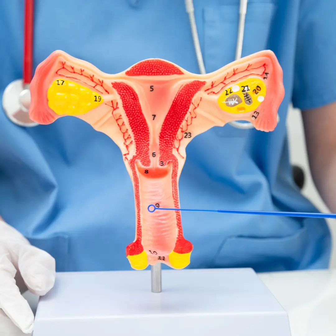 Genital Temizlik Nasıl Yapılır